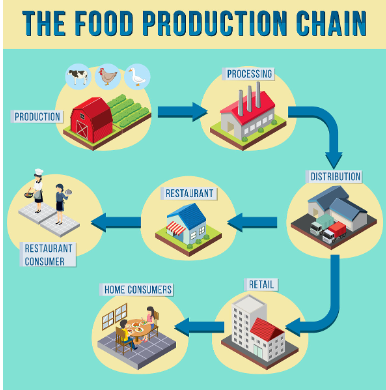 食品供應(yīng)鏈流程管理 食品供應(yīng)鏈流程管理