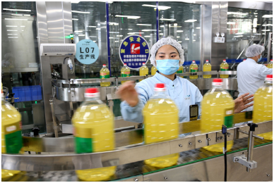 食用油質(zhì)量檢測 食用油質(zhì)量檢測